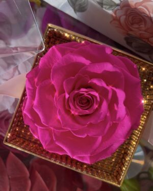 Mini Fuchsia Forever Rose Box