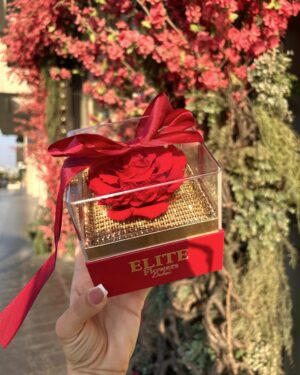 Mini Red Forever Rose Square Box