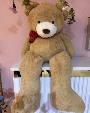 The Signature Bear