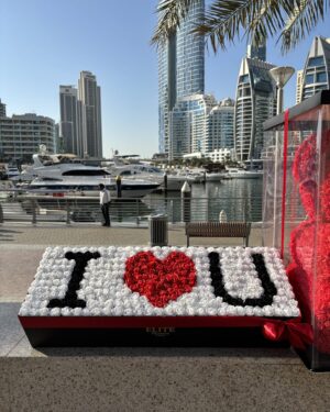 The Timeless Devotion